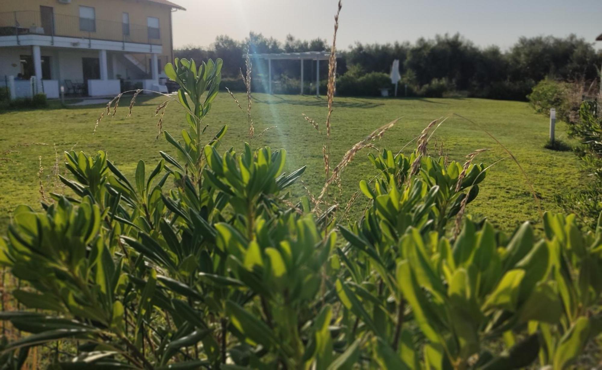 Natura E Mente Camere E Relax Vasto Exterior photo